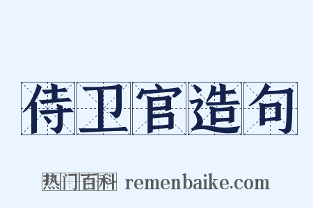 侍卫官造句是什么意思的图片